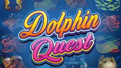 dolphin quest